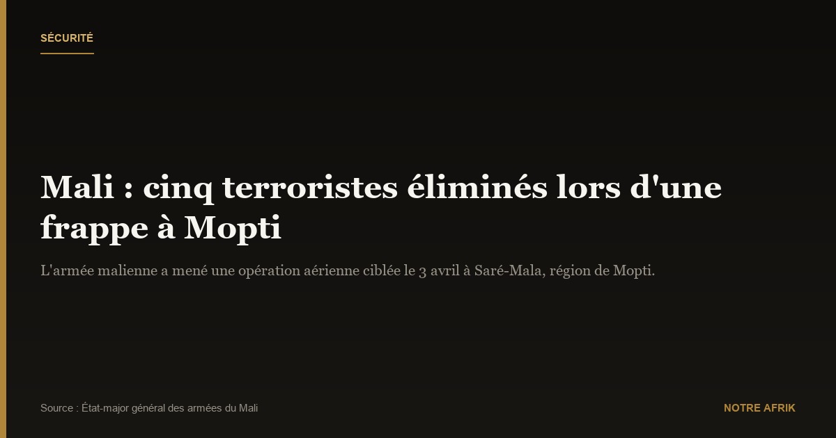 Mali : cinq leaders terroristes éliminés par l'armée lors d'une opération à Mopti