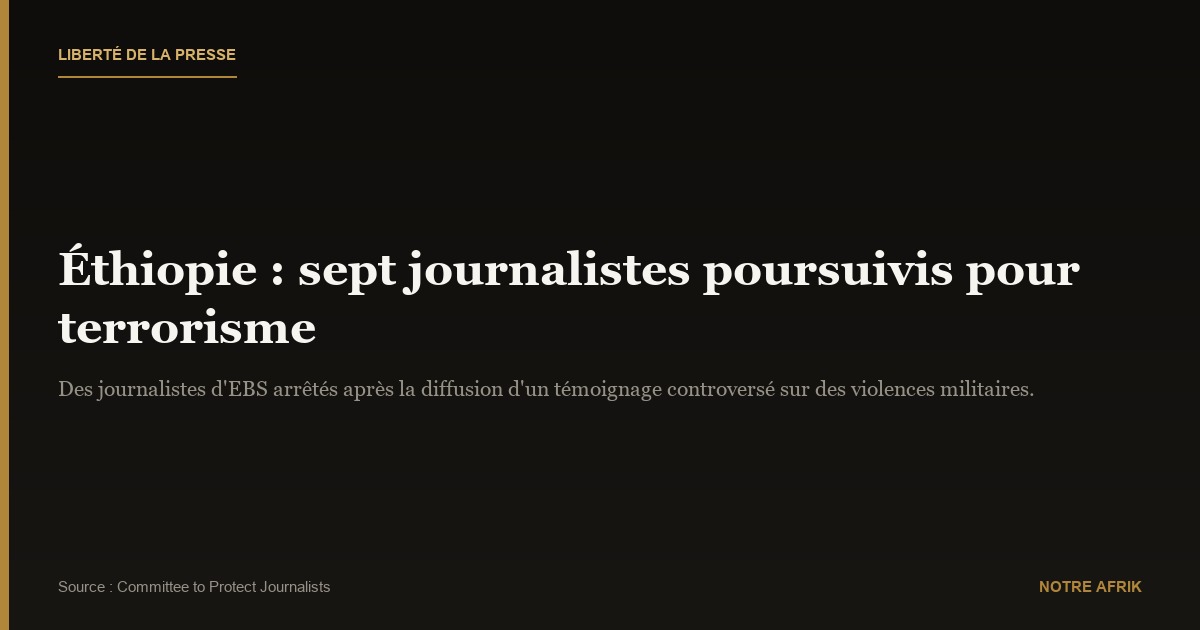 Éthiopie : sept journalistes interpellés dans le cadre d’une enquête liée au terrorisme