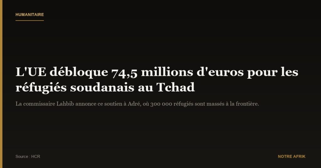 Tchad : l’Union Européenne intensifie son soutien humanitaire