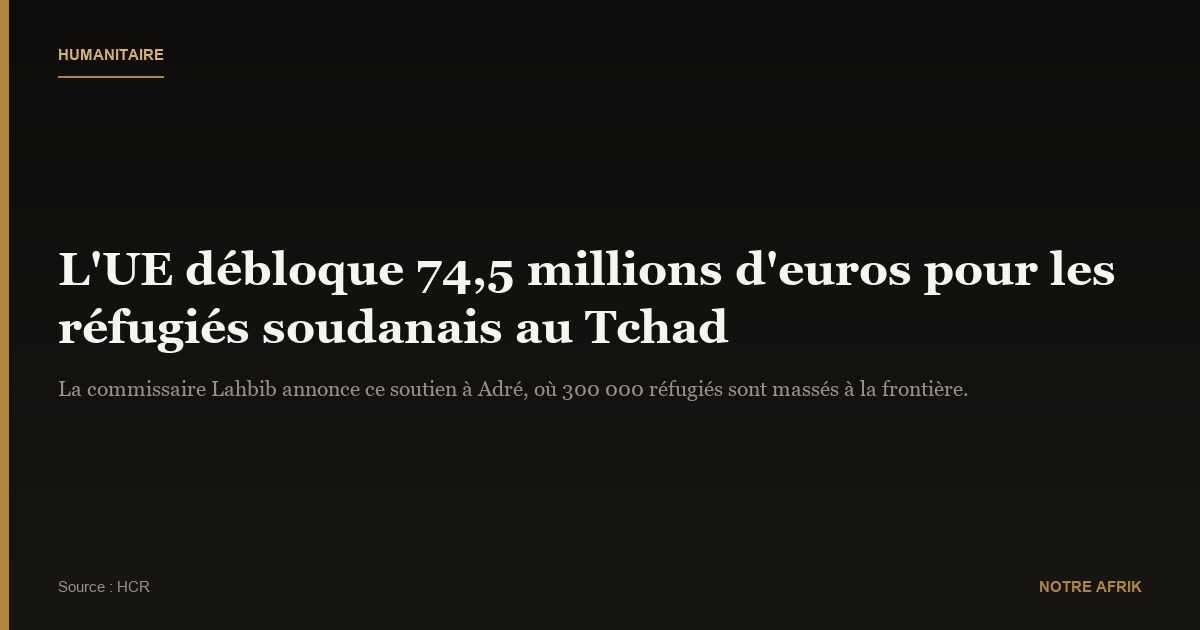 Tchad : l’Union Européenne intensifie son soutien humanitaire