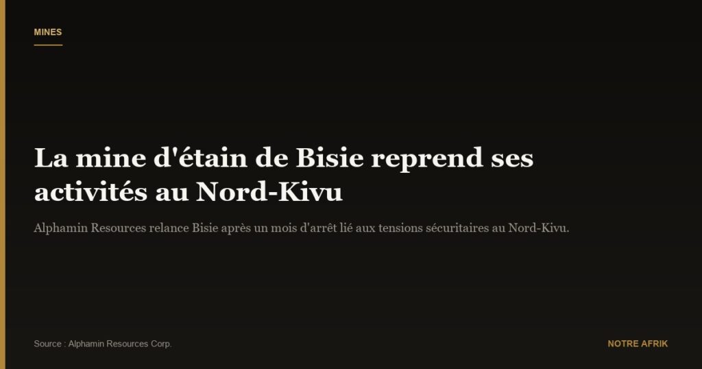  RD Congo : la mine d'étain de Bisie redémarre après un mois d'arrêt