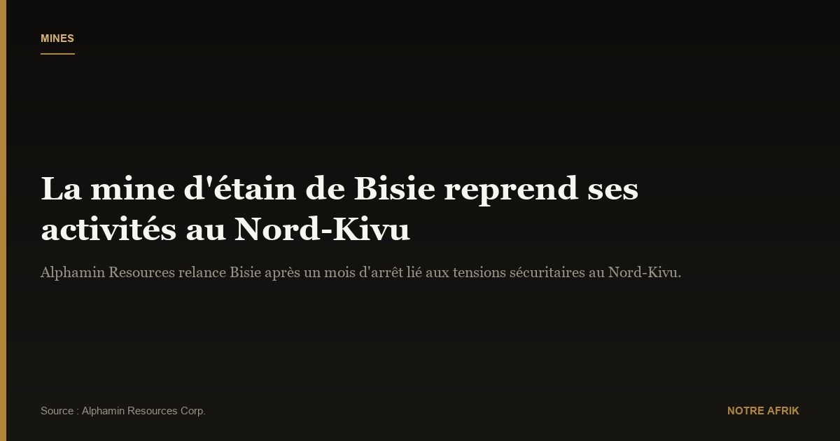  RD Congo : la mine d'étain de Bisie redémarre après un mois d'arrêt