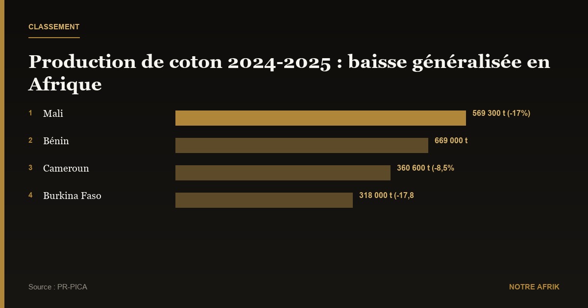 Coton : fibres d’espoir pour l’or blanc africain