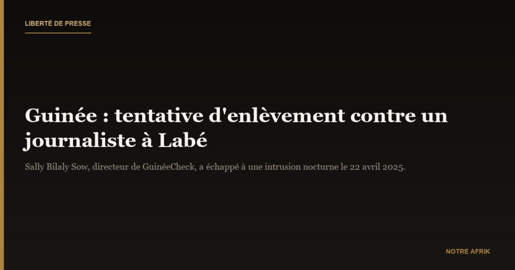 Guinée : tentative d’enlèvement avortée contre le journaliste Sally Bilaly Sow