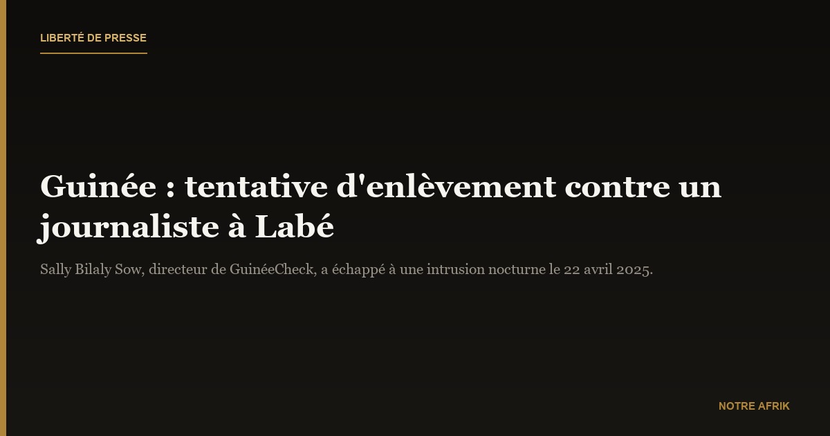 Guinée : tentative d’enlèvement avortée contre le journaliste Sally Bilaly Sow