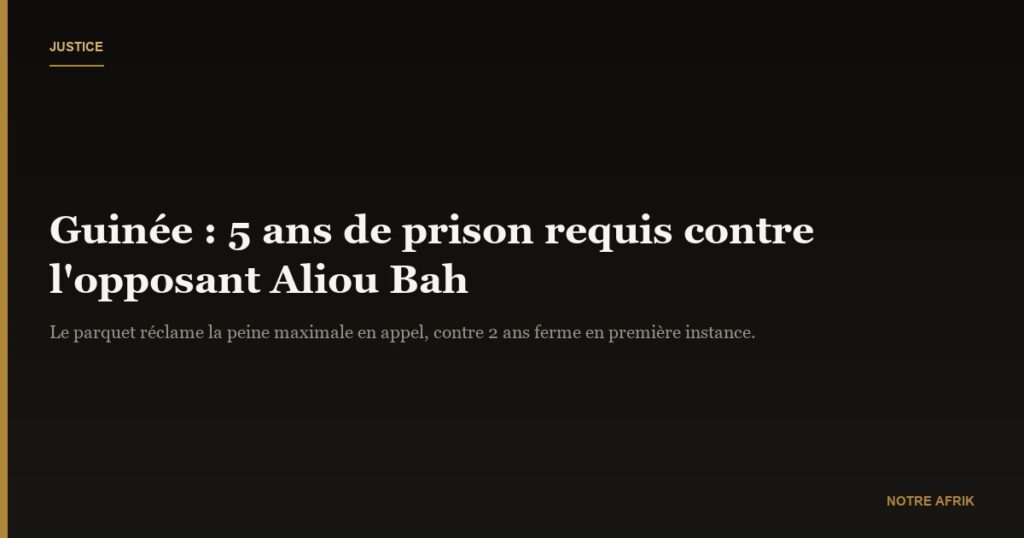 Guinée : 5 ans de prison requis contre un opposant