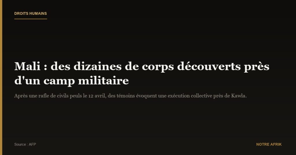 Mali : découverte de corps près d’un camp militaire après l’arrestation de civils