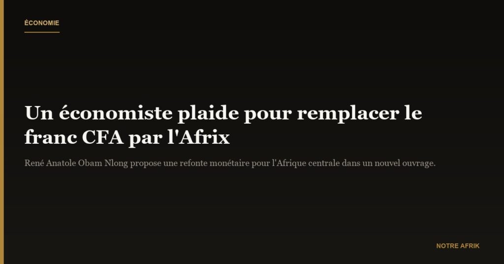 Livres : René Anatole Obam Nlong plaide pour un nouveau modèle monétaire africain