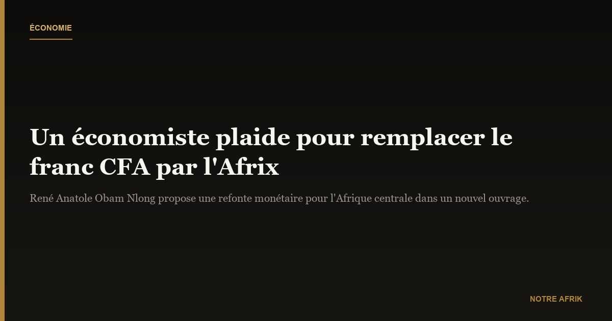 Livres : René Anatole Obam Nlong plaide pour un nouveau modèle monétaire africain