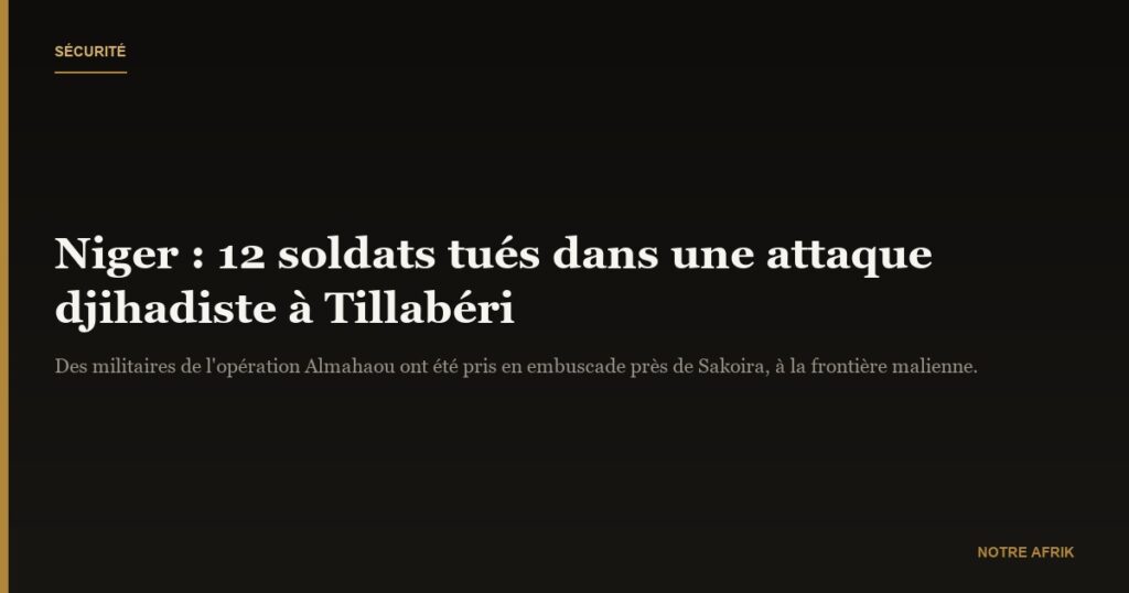Niger : douze soldats tombés lors d’une attaque armée à Tillabéri