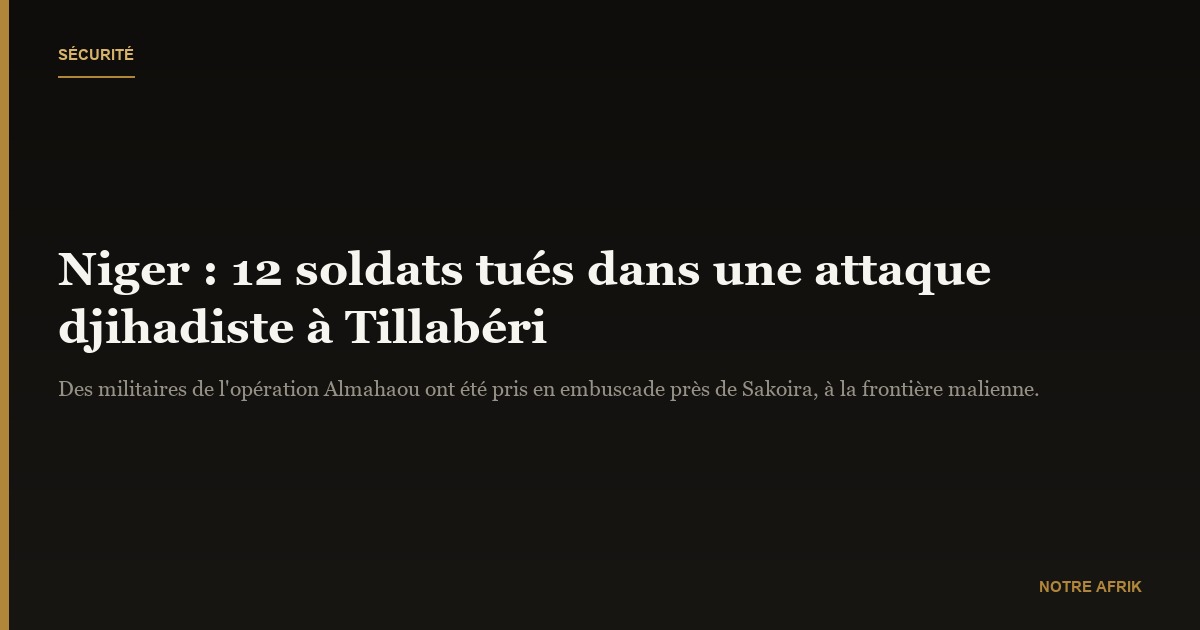 Niger : douze soldats tombés lors d’une attaque armée à Tillabéri