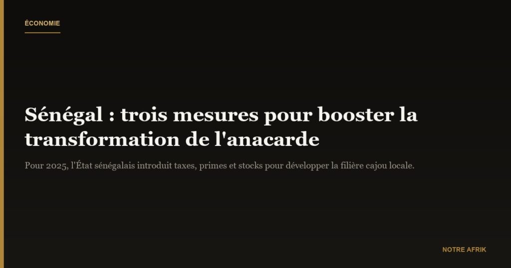 Sénégal : de nouvelles mesures pour les transformateurs d’anacarde dès 2025