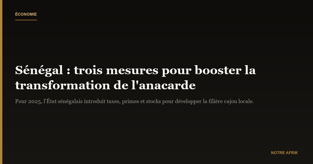 Sénégal : de nouvelles mesures pour les transformateurs d’anacarde dès 2025