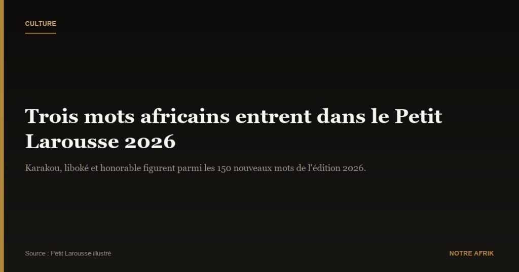 Culture : trois mots africains ajoutés au Petit Larousse illustré 2026