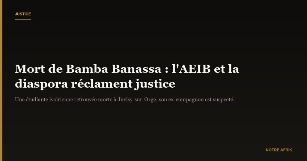 France : l’AEIB et la diaspora réclament justice pour Bamba Banana