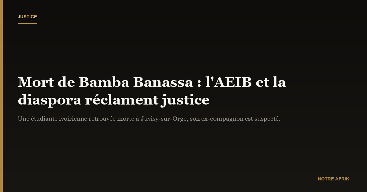 France : l’AEIB et la diaspora réclament justice pour Bamba Banana