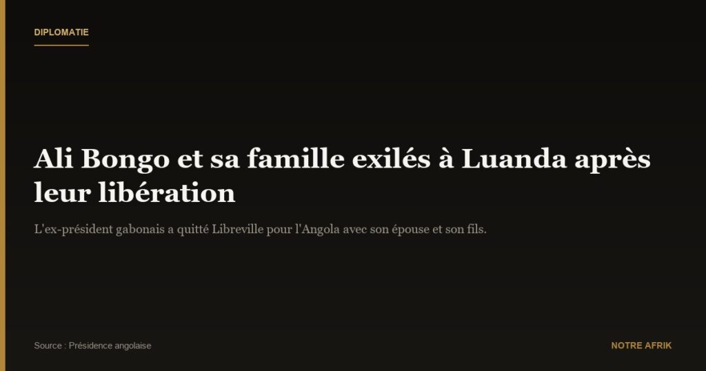 Gabon : Ali Bongo et sa famille exilés à Luanda