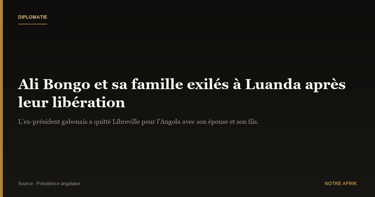 Gabon : Ali Bongo et sa famille exilés à Luanda