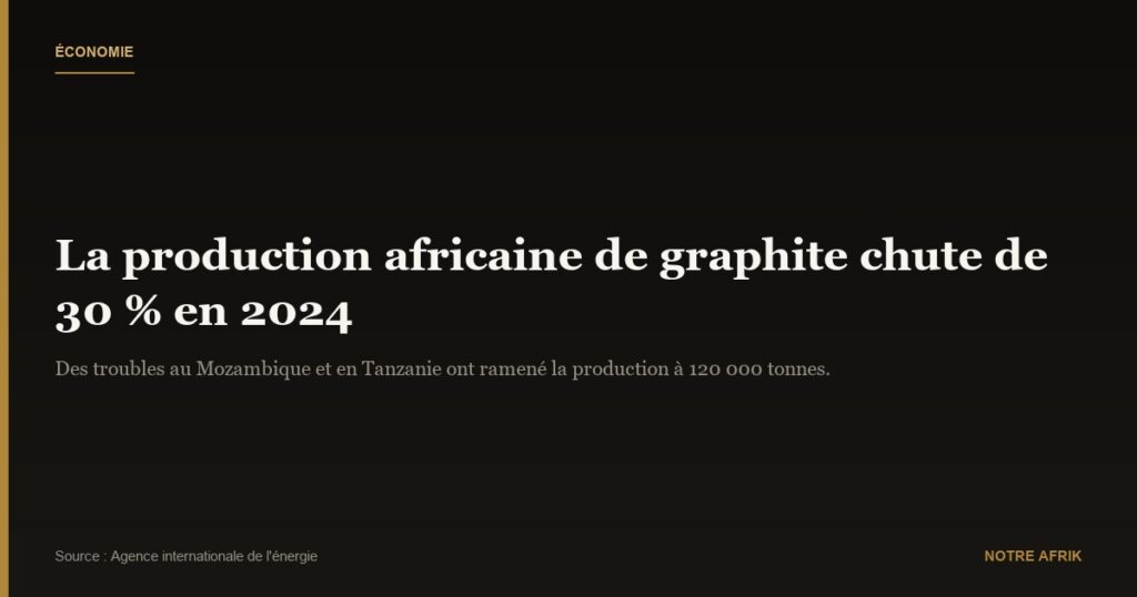 Économie : la production africaine de graphite a baissé de 30 % en 2024