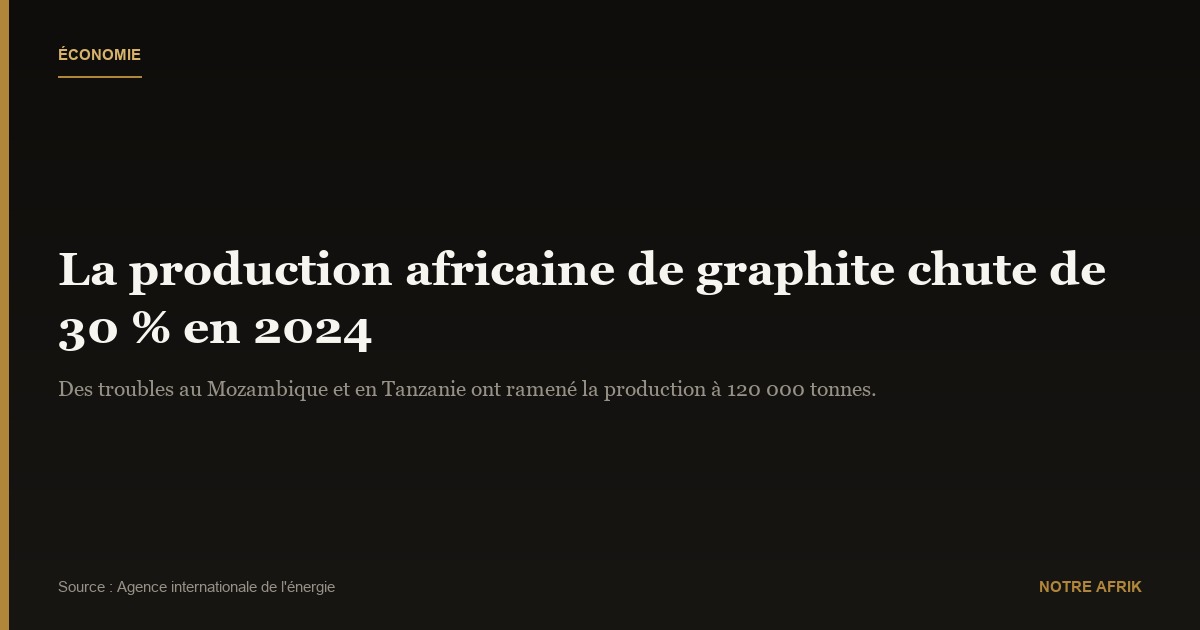 Économie : la production africaine de graphite a baissé de 30 % en 2024