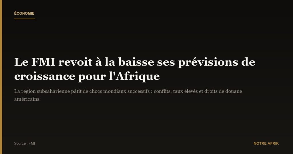 Économie : le FMI alerte sur les freins à la croissance africaine