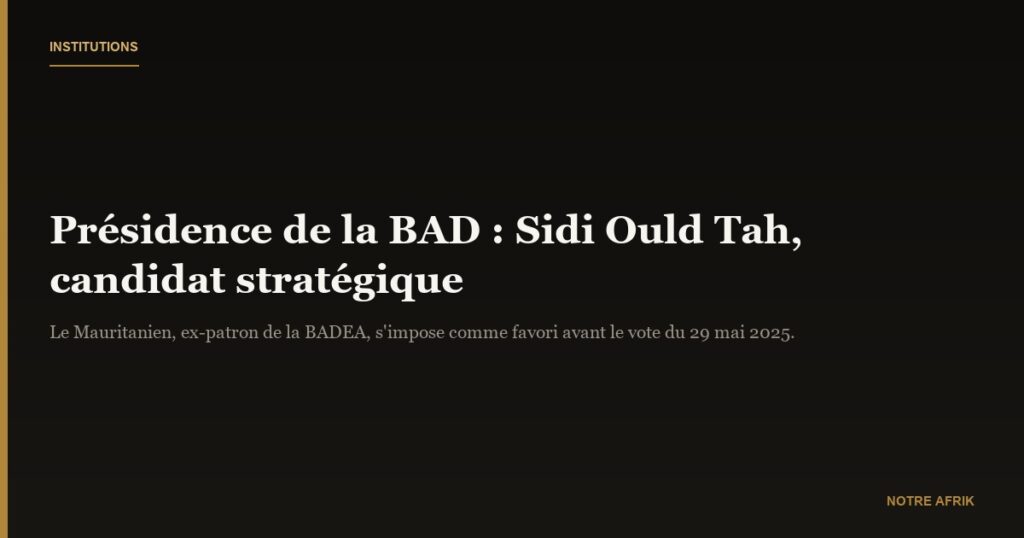 Présidence de la BAD : et si c’était Sidi