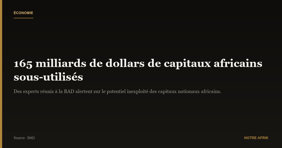 Économie : 165 milliards de dollars de capitaux inexploités en Afrique