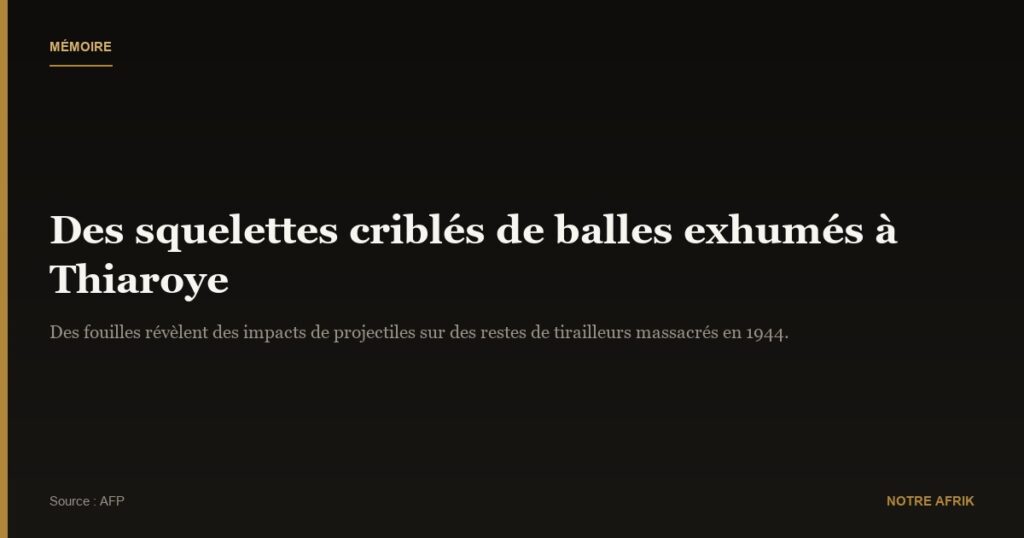 Sénégal : des squelettes criblés de balles découverts à Thiaroye