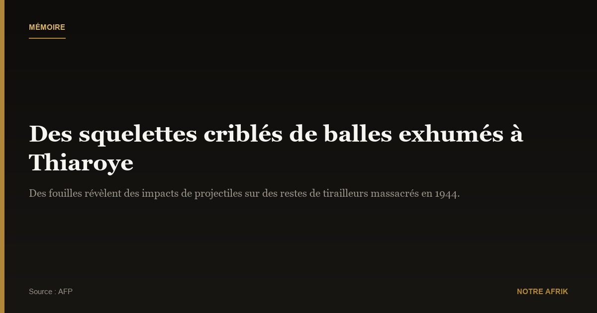 Sénégal : des squelettes criblés de balles découverts à Thiaroye