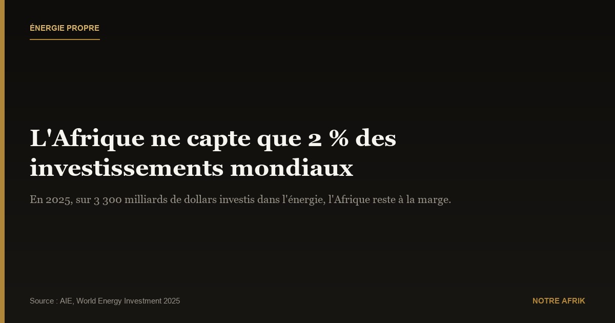 Énergie propre : l’Afrique ne capte que 2 % des investissements mondiaux