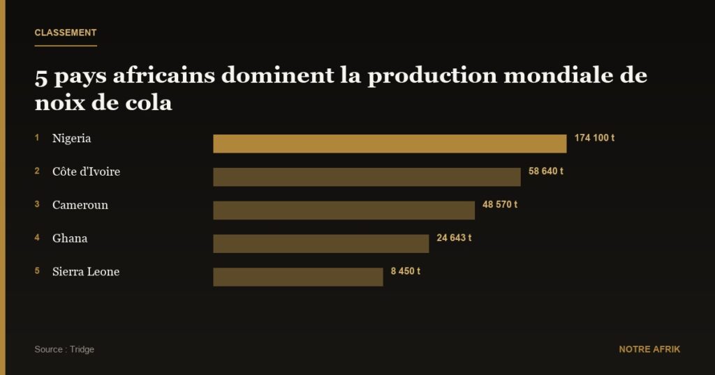 Économie : 5 pays africains dominent le marché de la noix de cola