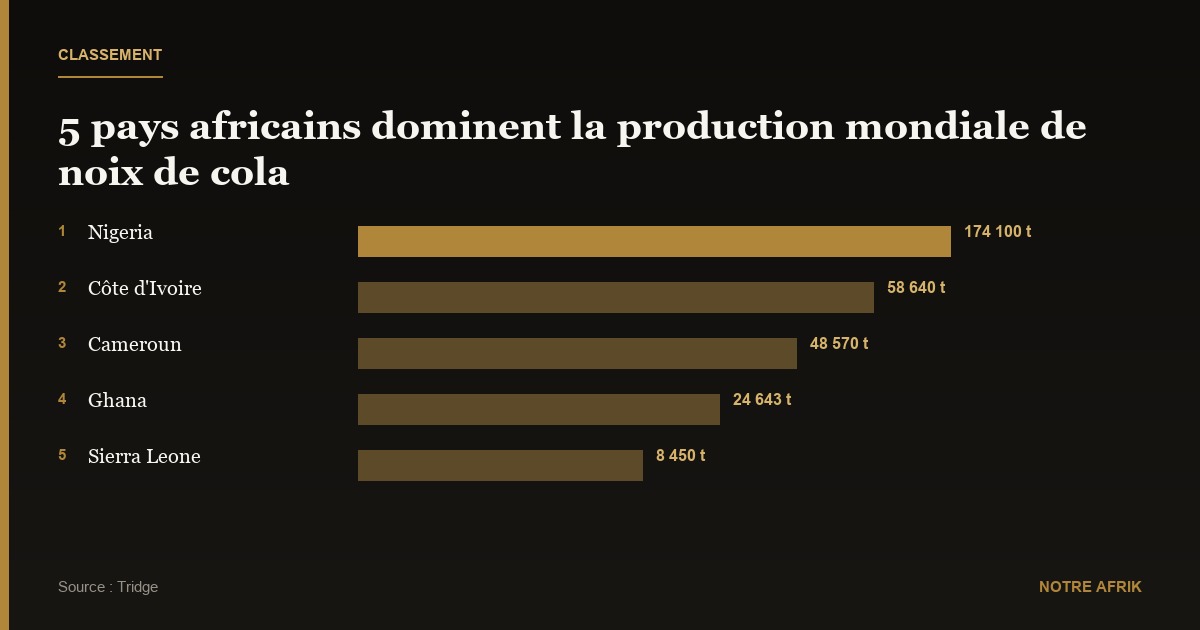 Économie : 5 pays africains dominent le marché de la noix de cola