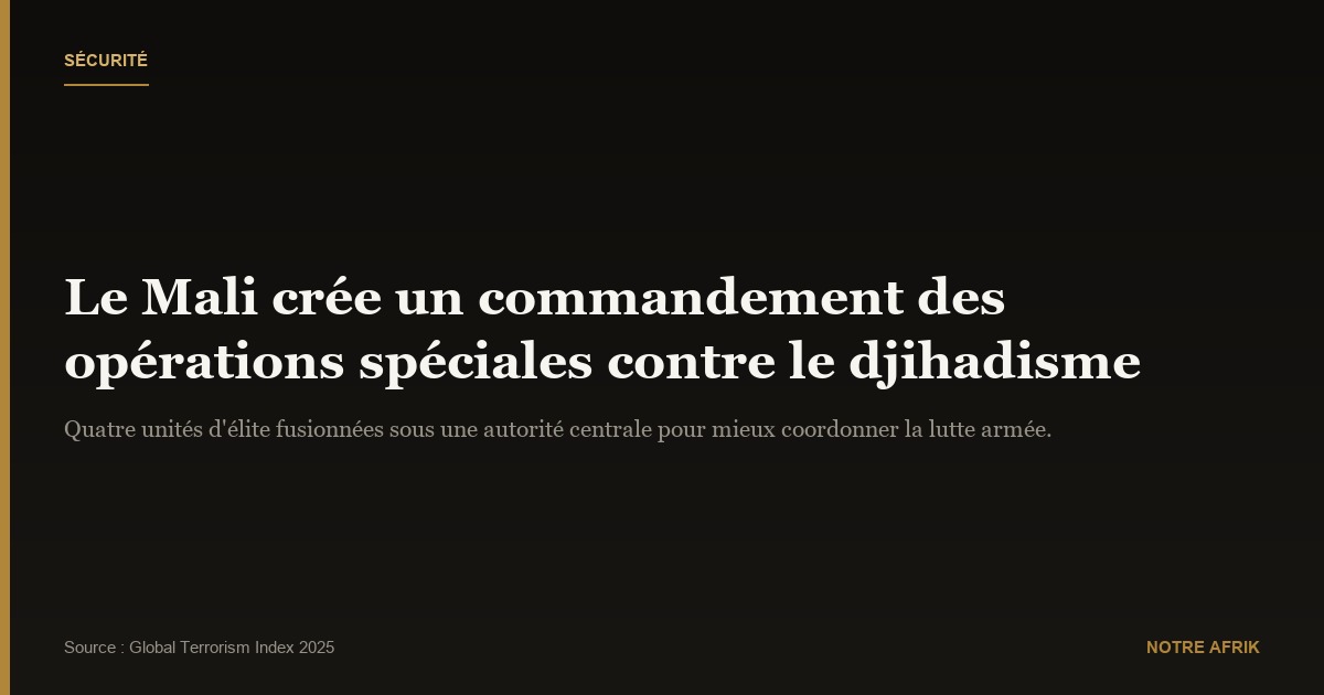 Sécurité : le Mali crée un commandement spécial contre les attaques djihadistes