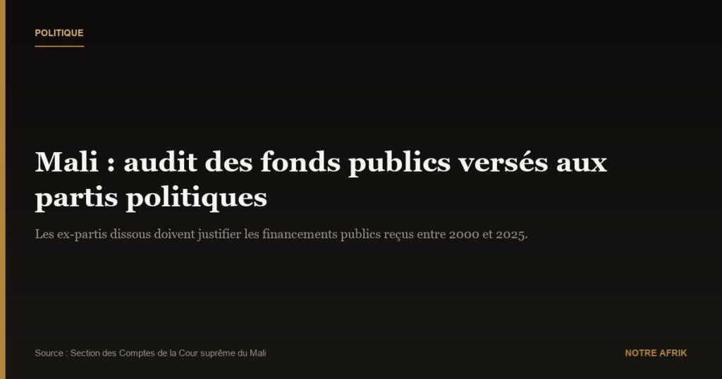 Mali : les partis politiques exigés de justifier leurs dépenses