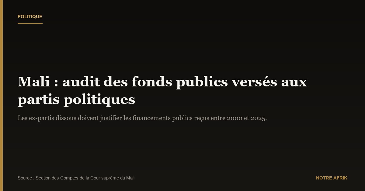 Mali : les partis politiques exigés de justifier leurs dépenses