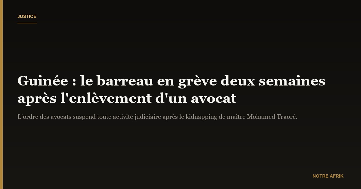Guinée : le barreau en grève pour deux semaines