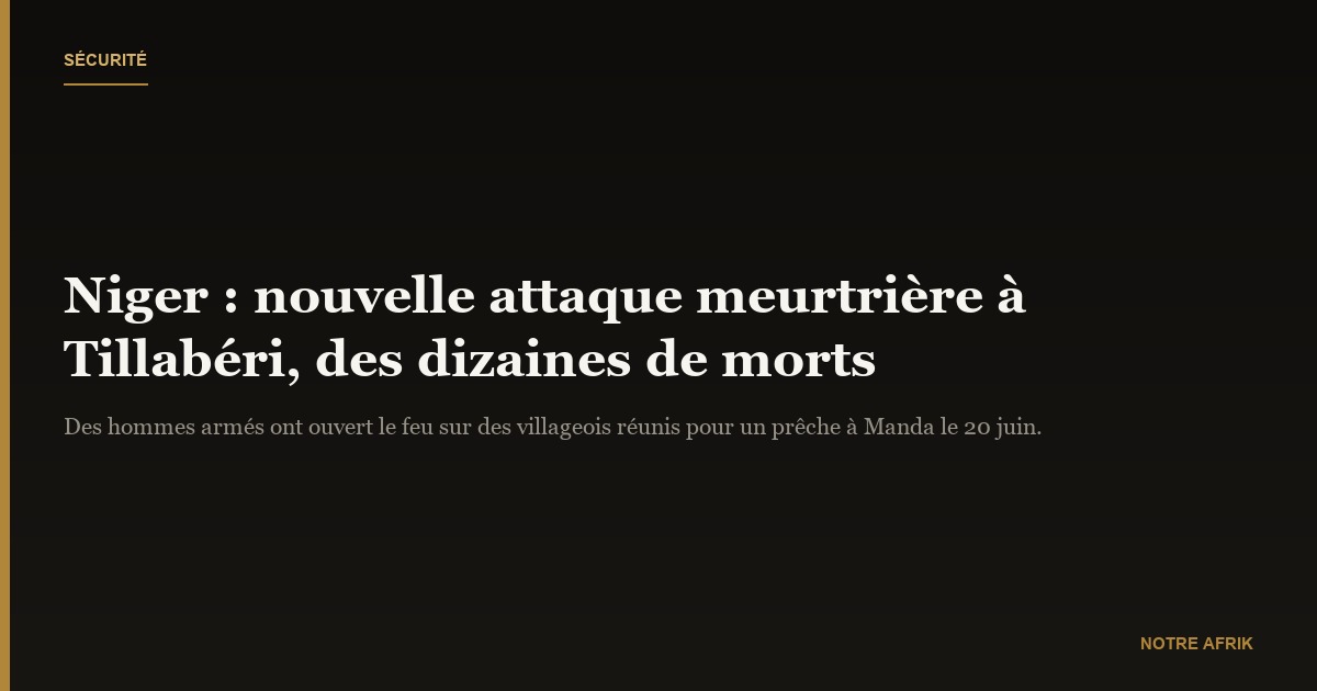 Niger : plusieurs villageois tués près des frontières burkinabè et malienne