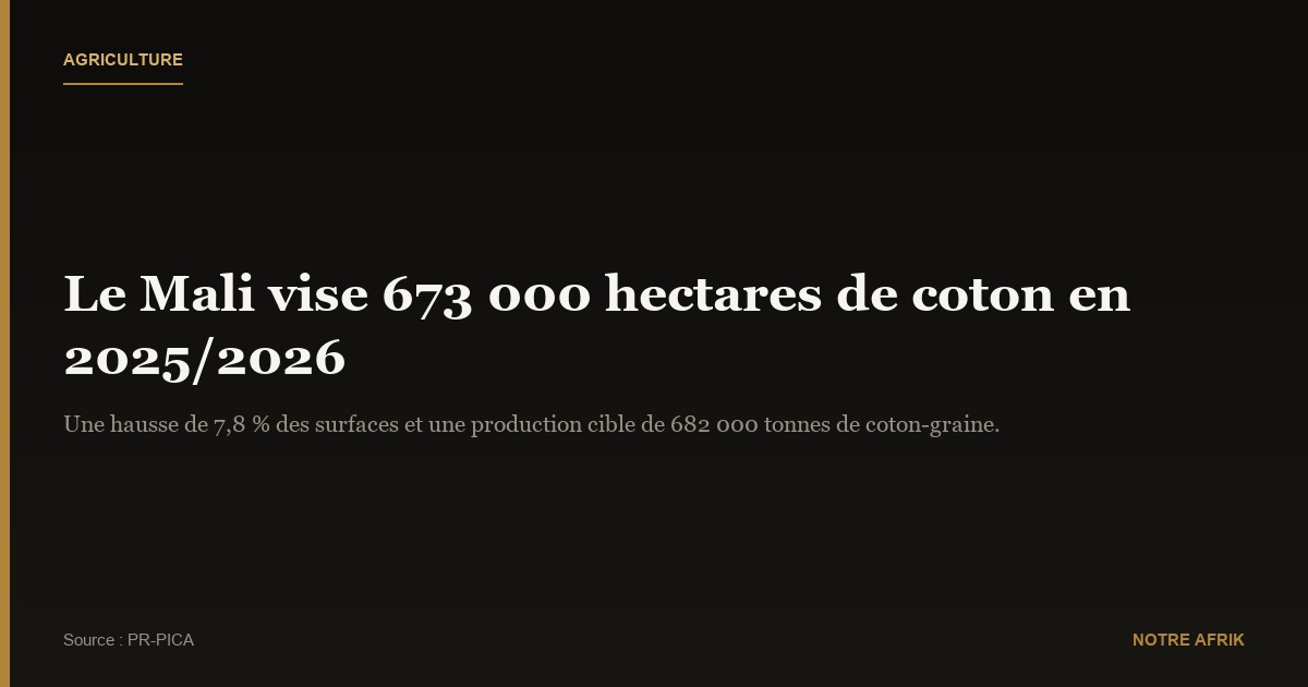 Mali : près de 673 000 hectares supplémentaires consacrés à la culture du coton