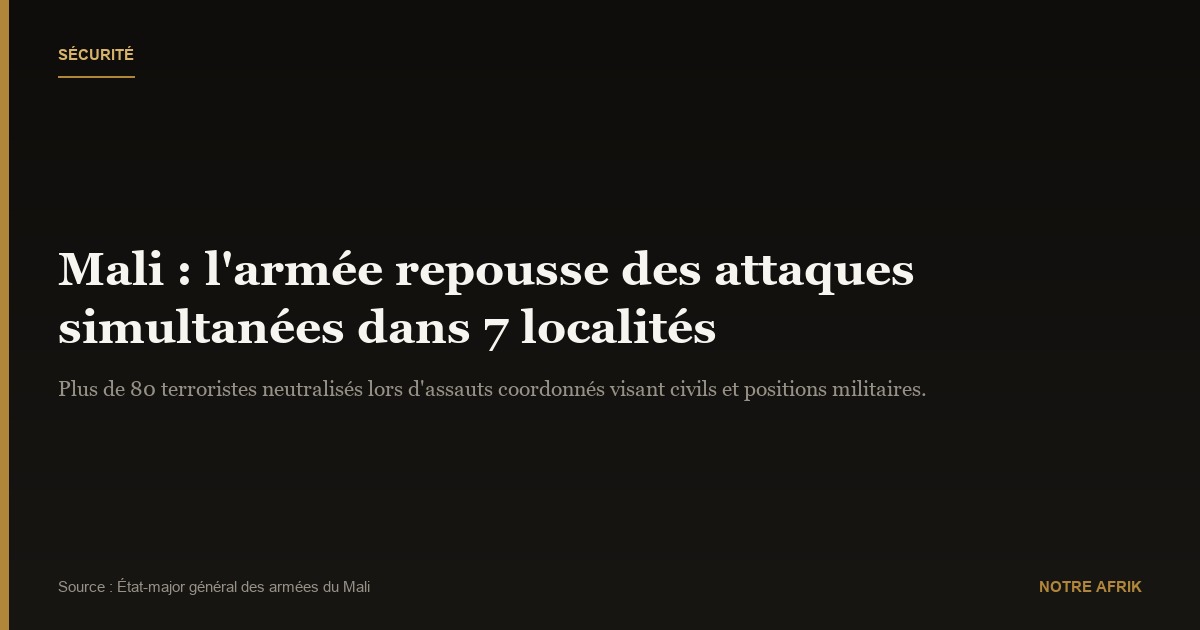Mali : l'armée neutralise plus de 80 terroristes