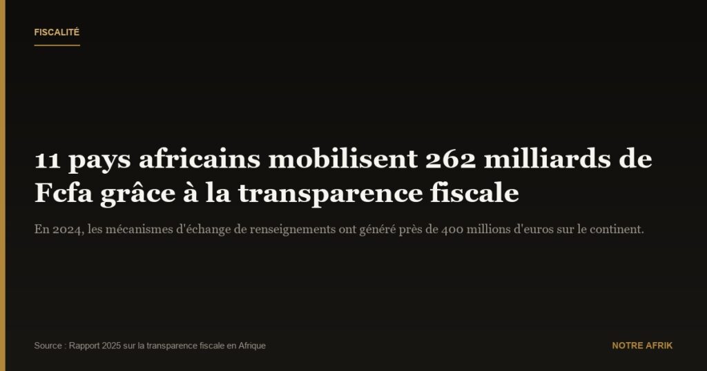 Recettes fiscales : onze pays africains gagnent plus de 262 milliards de Fcfa grâce à la transparence