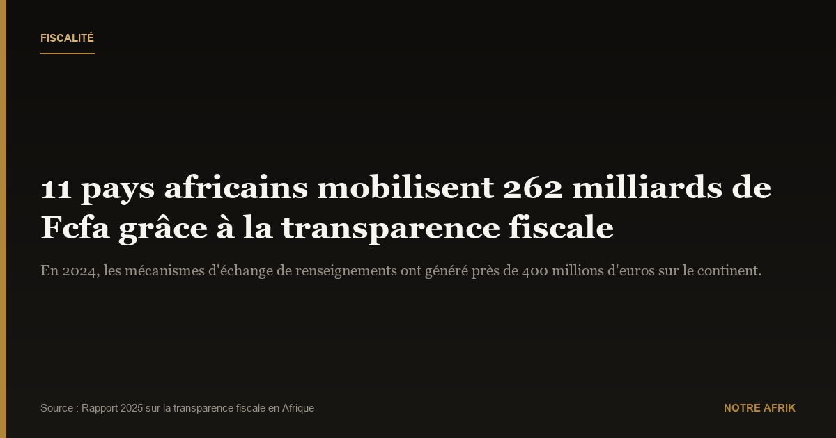 Recettes fiscales : onze pays africains gagnent plus de 262 milliards de Fcfa grâce à la transparence