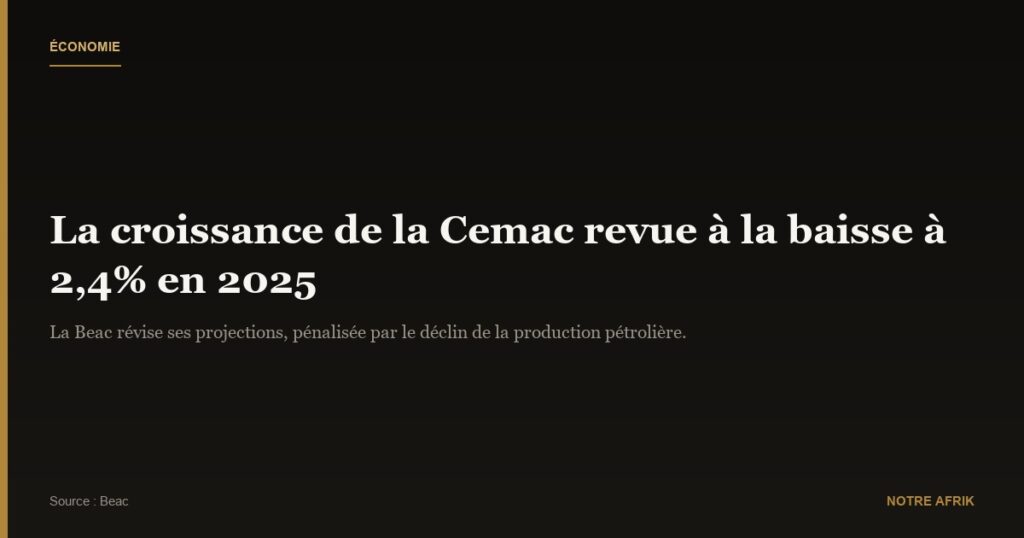Cemac : les objectifs de croissance passent de 2,9 à 2,4%
