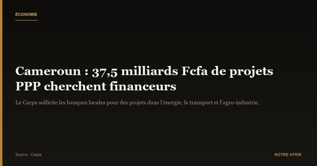 Cameroun : appel au secteur financier pour financer 37,5 milliards Fcfa de projets en PPP