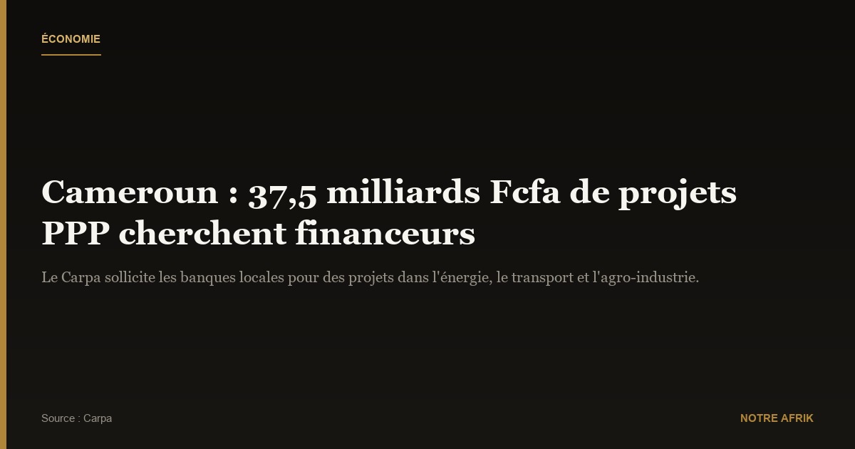 Cameroun : appel au secteur financier pour financer 37,5 milliards Fcfa de projets en PPP