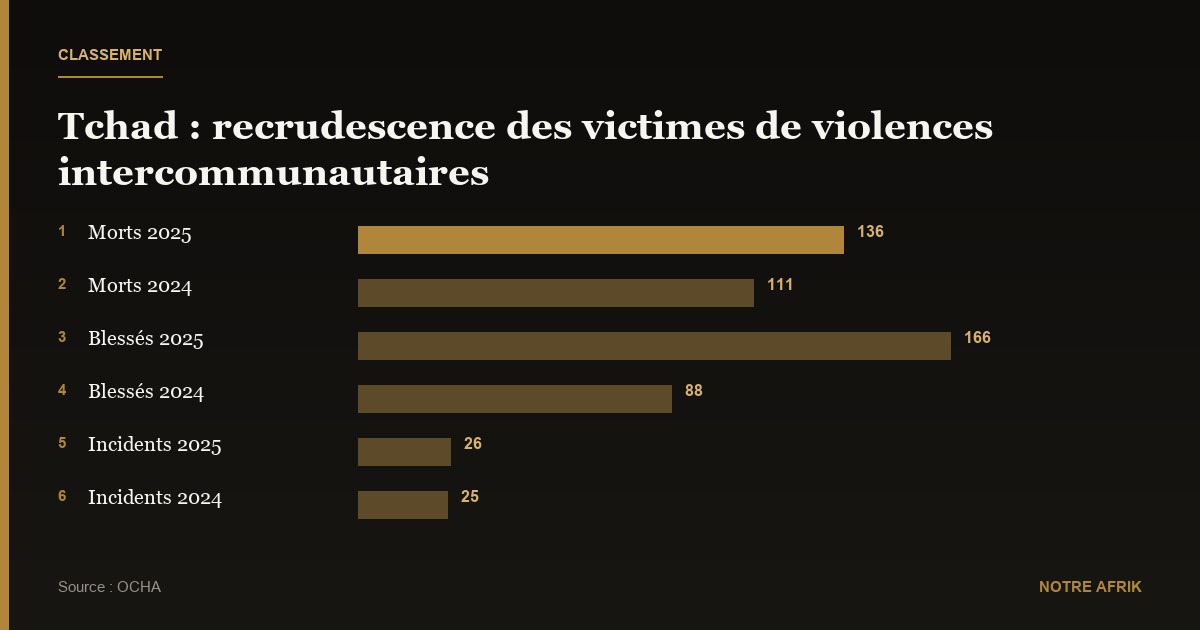 Tchad : la hausse des victimes des violences intercommunautaires inquiète