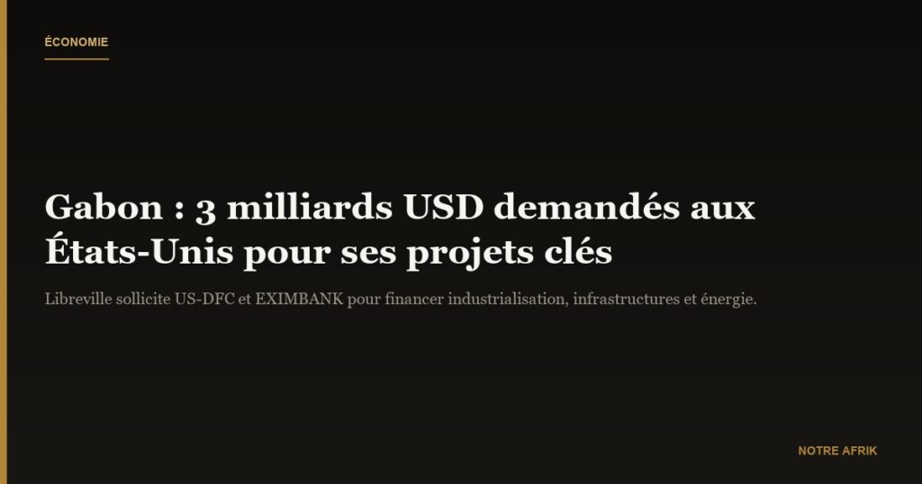 Gabon : demande de financement de 3 milliards USD auprès des États-Unis