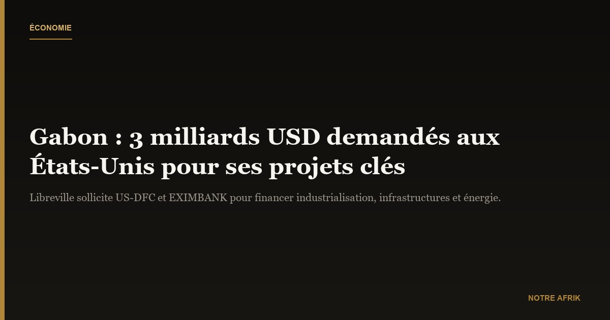 Gabon : demande de financement de 3 milliards USD auprès des États-Unis