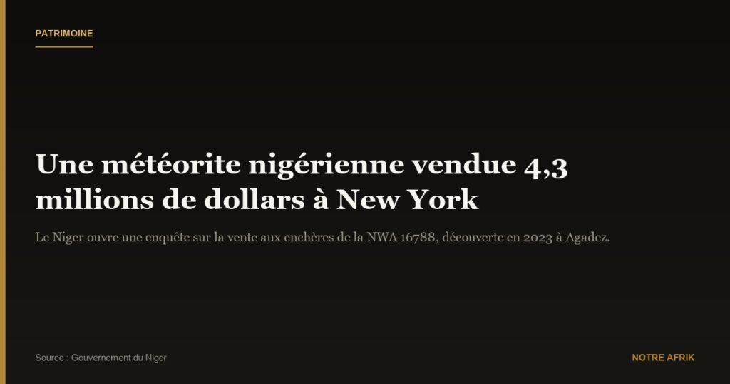 Niger : le gouvernement ouvre une enquête sur une météorite vendue aux États-Unis