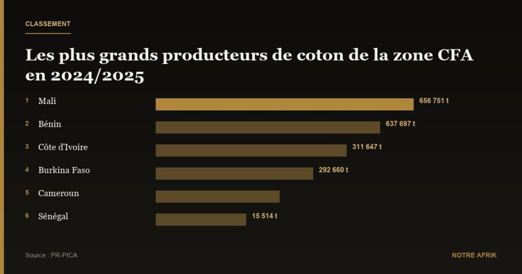 Coton : la zone CFA enregistre une baisse de 12 % en 2024/2025