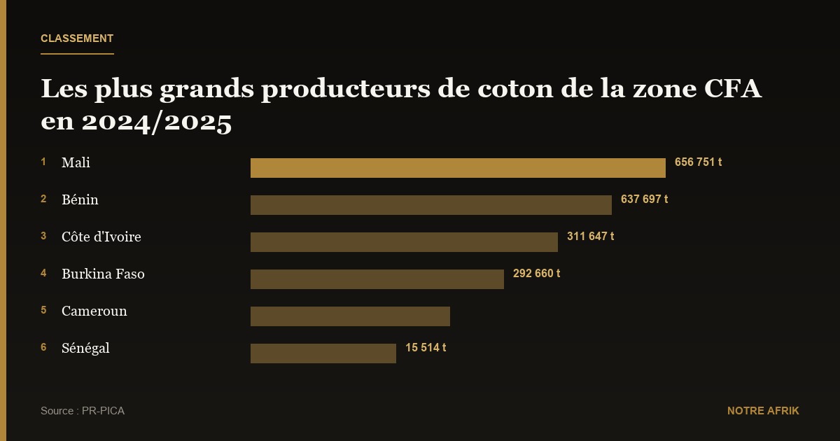 Coton : la zone CFA enregistre une baisse de 12 % en 2024/2025